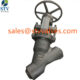 China Y Type Forged Globe Valve Manufacture