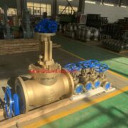 China C95500 Globe Valve