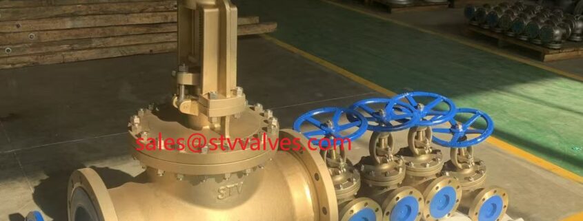 China C95500 Globe Valve