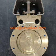 C95800 High Performance Butterfly Valves