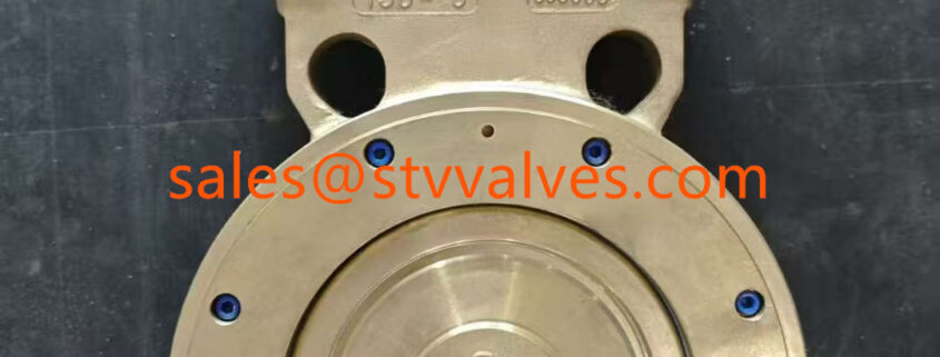 C95800 High Performance Butterfly Valves