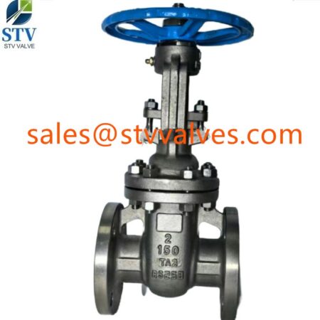 china Titanium Alloy TA2 Gate Valve Manufacture