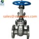 china Titanium Alloy TA2 Gate Valve Manufacture