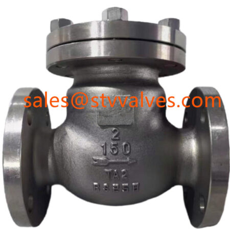 China  TA2 Swing Check Valve Manufacture