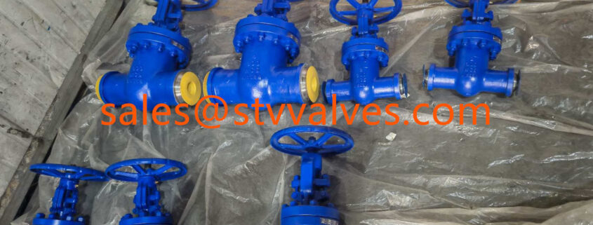 600LB A217 Wc6 Gate Valves