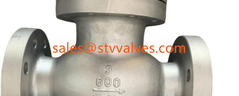 China Lift Check Valve Supplier