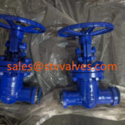 China WC6 Gate Valve Manufacture