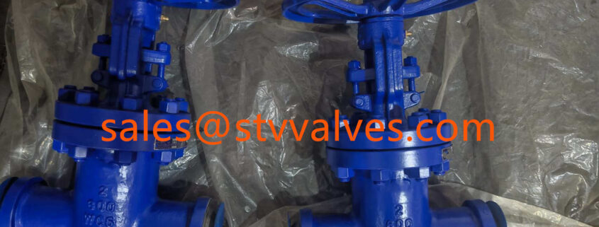 China WC6 Gate Valve Manufacture