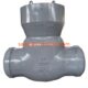 900 lb Swing Check Valve
