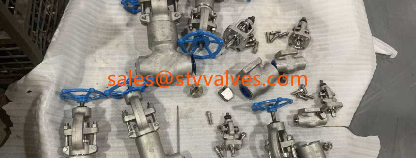 API 602 Globe Valve supplier