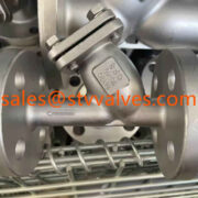 China EN558-1 Y Type Strainer