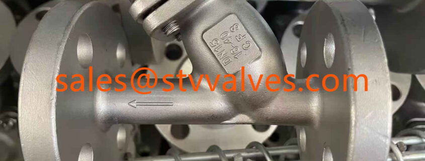 China EN558-1 Y Type Strainer