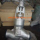 China Power Station Globe Valve