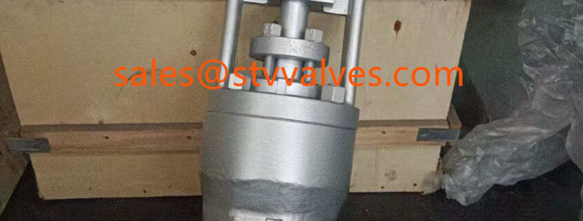 China Power Station Globe Valve