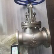 BS1873 CF8 globe valves