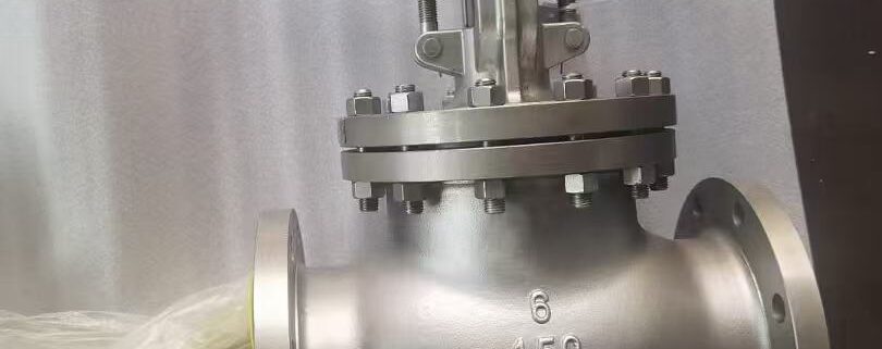 BS1873 CF8 globe valves