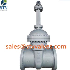 30 Inch Gate Valve manufacturer