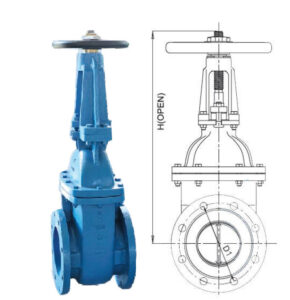 OS&Y Gate Valve