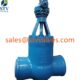 China Pressure Seal Gate Valve