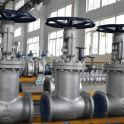 Bellow Seal Globe Valves