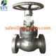 BS1873 Globe Valve