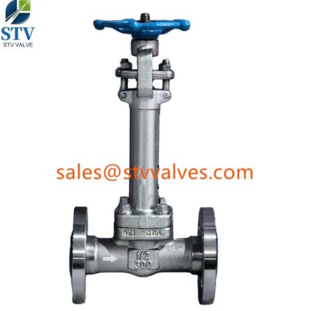 Low Temperature Gate Valve