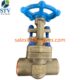 C95800 Gate Valve