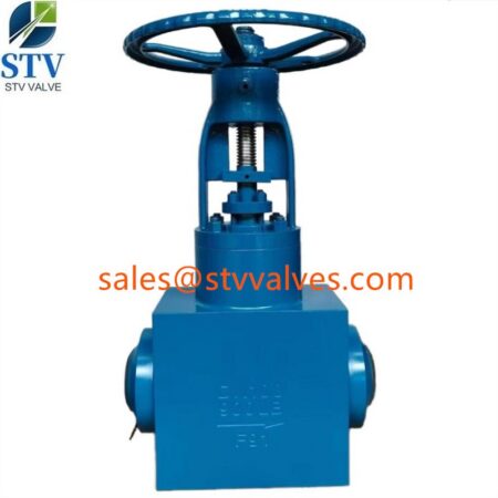 China 900LB F91 Gate Valve Manufacture