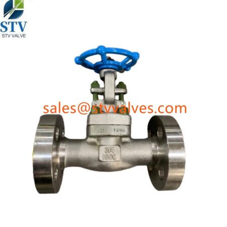 A182 F316 Globe Valve Supplier