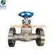 A182 F316 Globe Valve Supplier