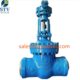 China Bolt Bonnet Gate Valve
