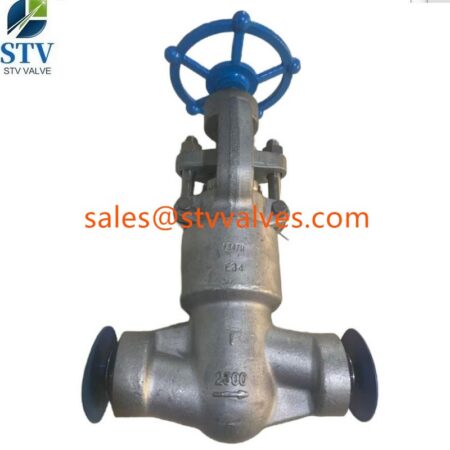 china high pressure globe valve