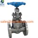 China A182 F55 Globe Valve