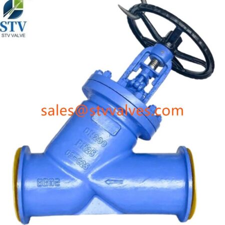Y Type Bellows Sealed Globe Valve