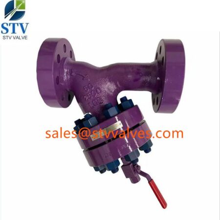 2500LB LCB Y Type Strainer