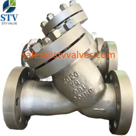 Super Duplex 5A Y Type Strainer