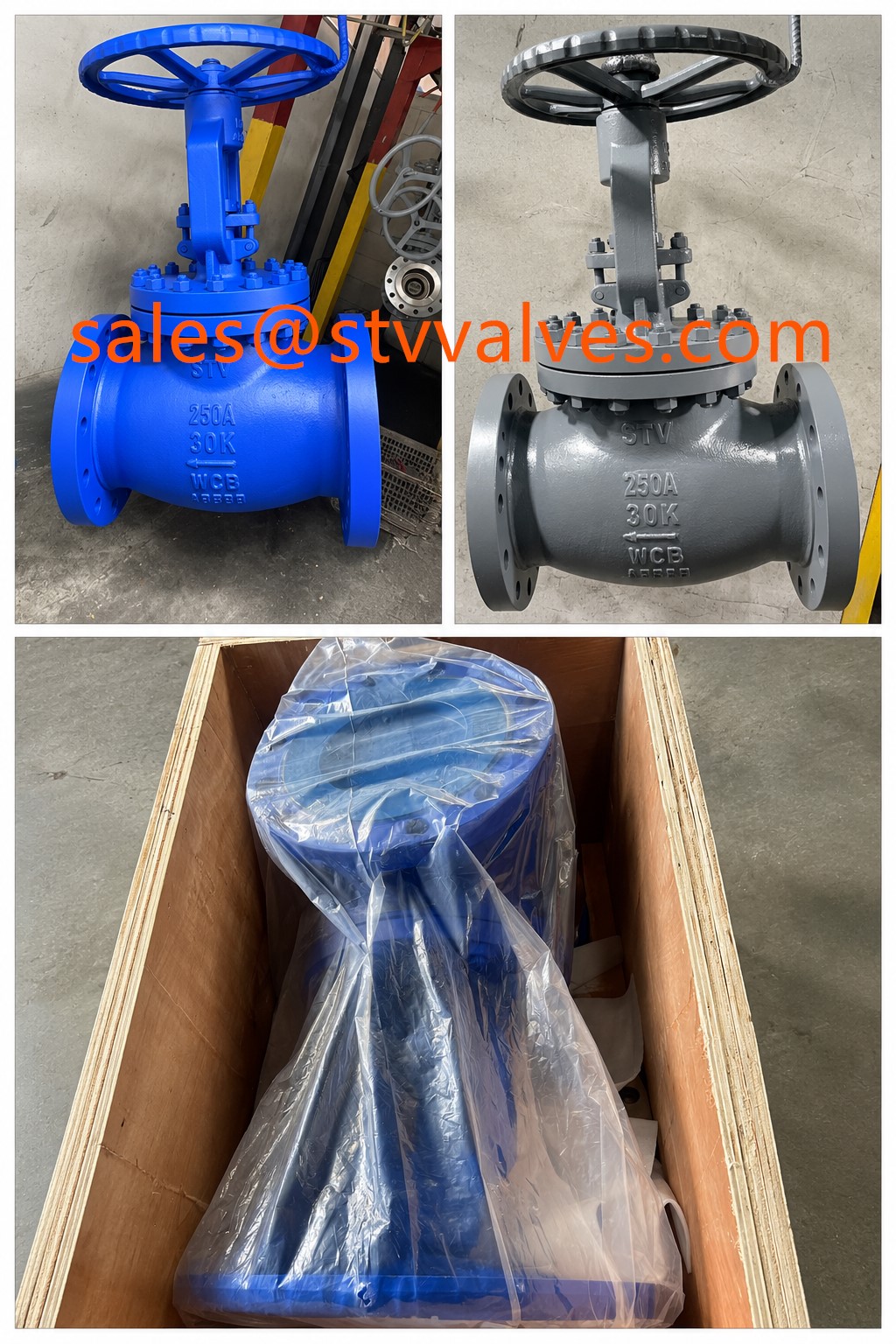 China JIS 30K Globe Valve